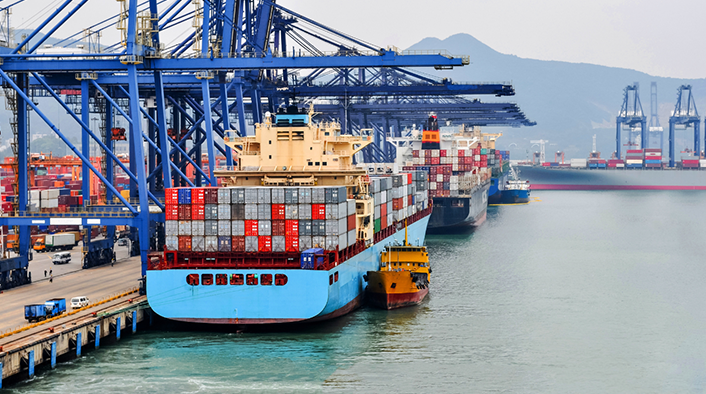 National Port Logistics Network